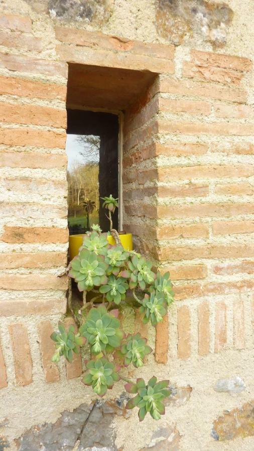 Moulin De Rimer
